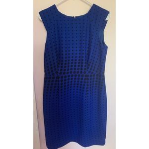 (Size 10P) 🦋Ann Taylor Dark Blue Dotted Dress